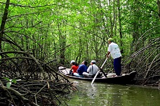  Can Gio Mangrove Forest (UNESCO Biosphere Reserve)